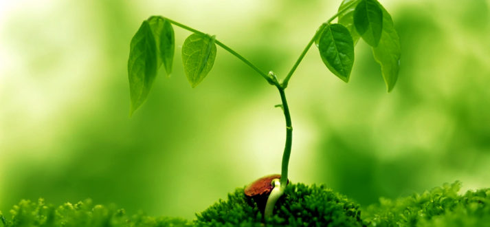 Nurturing Relationship with Consciousness